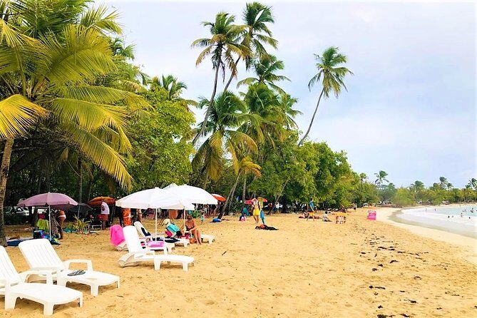 Rum and Salines paradise beach - A Detailed Look at the Tour