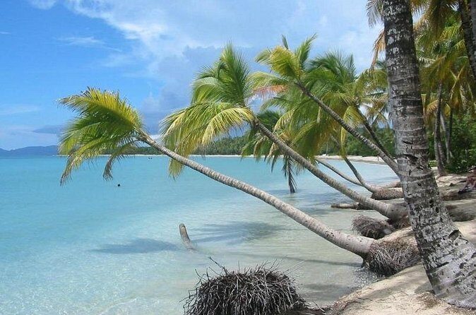 Rum and Salines paradise beach - Final Thoughts