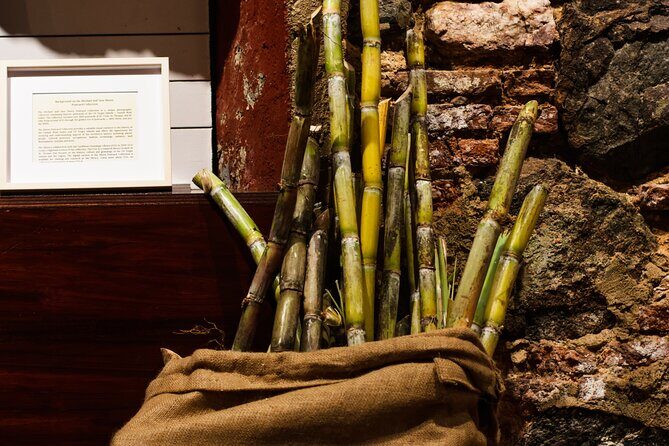 Rum Tasting Experience in the Old Barrel House - Final Thoughts