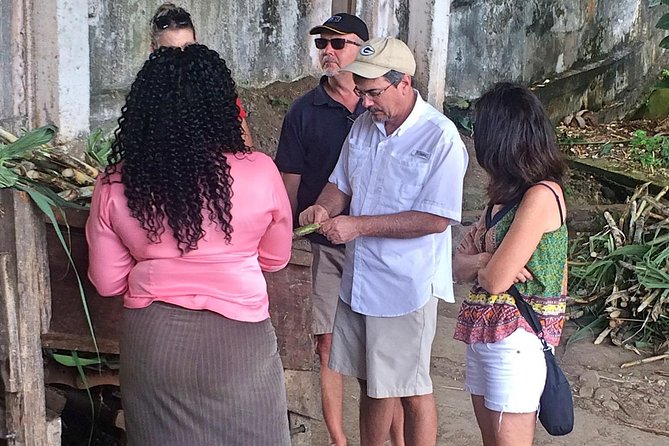 Rum Tour: Exploring the Historic River Antoine Rum Distillery - What to Expect on the Tour