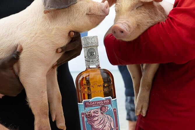 Rumbo Tour - Key Points