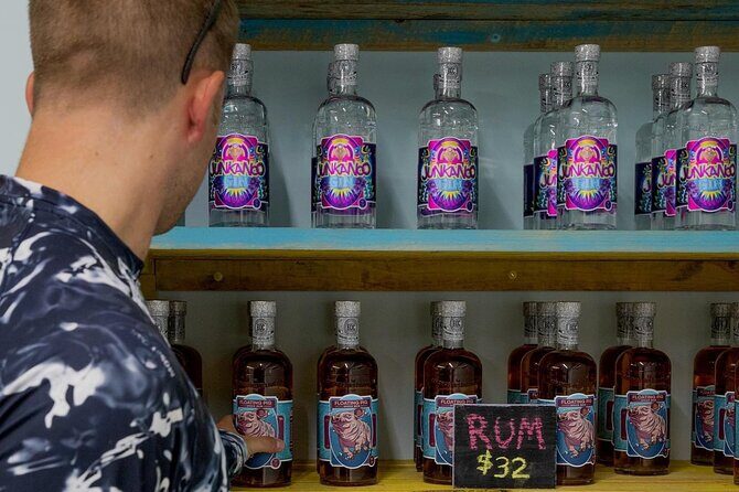 Rumbo Tour - Authentic Experiences and Practical Details