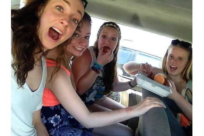 Rums and Reggae Tour (Shore Excursion) - The Experience and Logistics