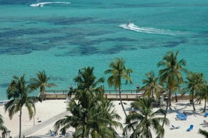 Rums and Reggae Tour (Shore Excursion) - Key Points