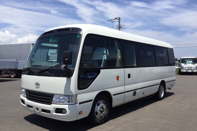 Runaway Bay Hotels Private Airport Transfer - Accessibility and Participation