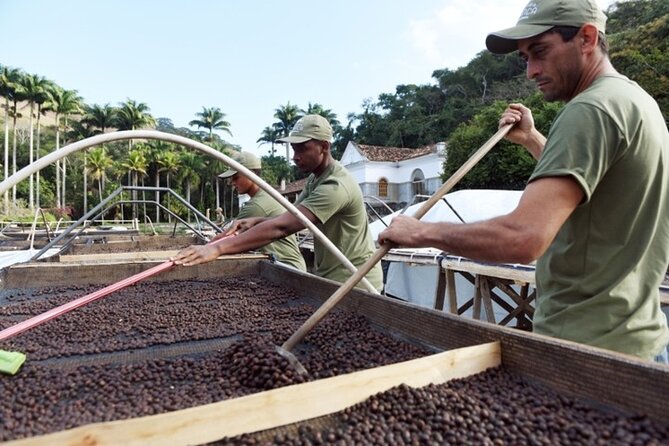 Rural Coffee Farm Tour With Breakfast & Lunch - Roasting & Tasting Experience - Locally Sourced Breakfast and Lunch