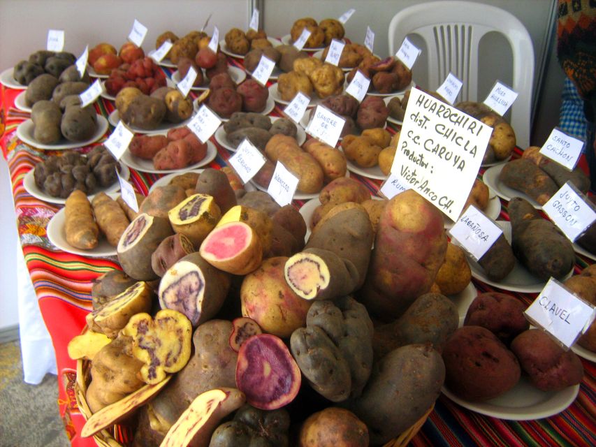 Rural Community Tourism in the Potato Park - Sacred Valley - Community Impact