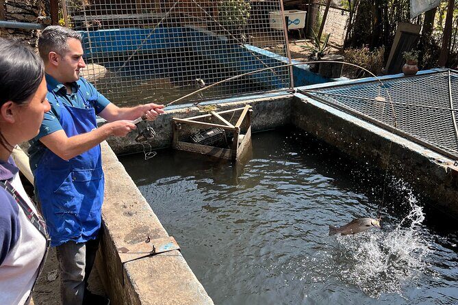 Rural cooking class at the mountains - FAQ