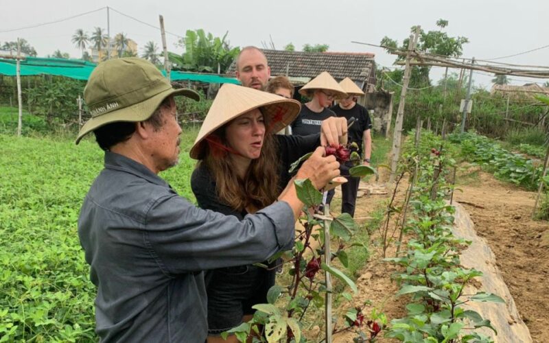 Rural Cycle, Market Tour, Basket Boat & Organic Farm Cooking - Activity #3: Basket Boat Ride