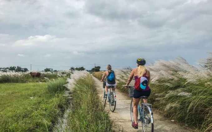 Rural Cycle, Market Tour, Basket Boat & Organic Farm Cooking - Culinary Experience: Homemade Vietnamese Lunch