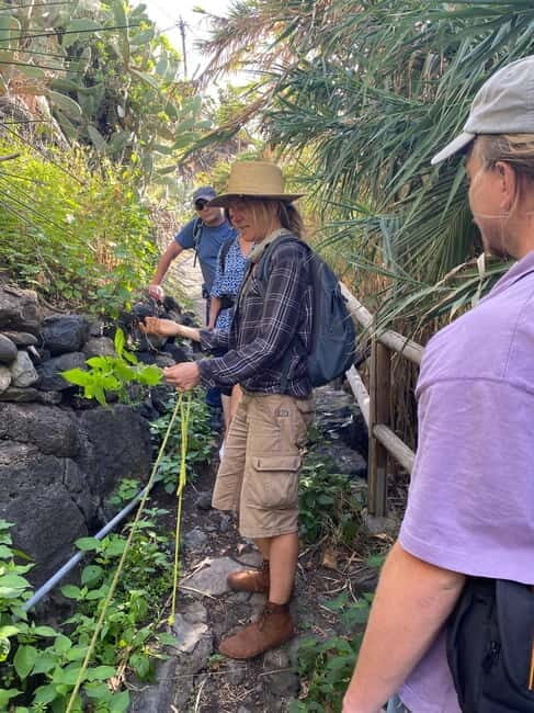 Rural Life Experience: Mojo Workshop and botanical Walk - Final Thoughts