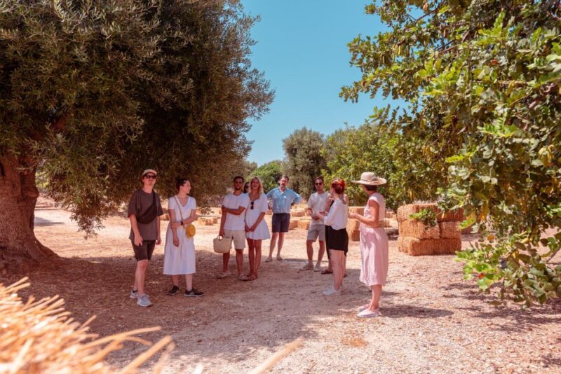 Rural Park Monopoli: Guided Tour + Tasting of 3 EVO Oils - Booking Information