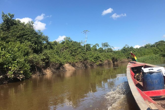 Rurrenabaque Pampas. 3 Days & 2 Nights. PRIVATE TOUR. (PLS ASK FOR SHARED TOUR) - About Your Stay