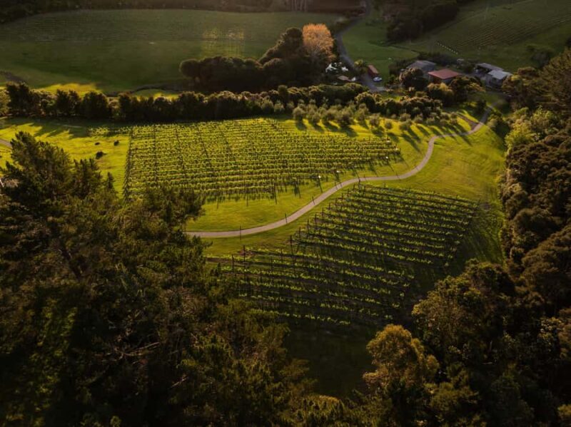 Russell: Paroa Bay Winery - Wine Tasting and Grazing - Key Points