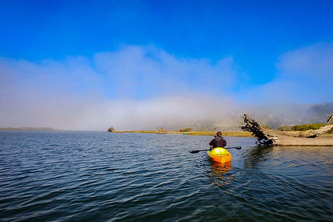 Russian River Kayak Tour at the Beautiful Sonoma Coast - Safety Measures and Accessibility