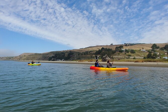 Russian River Kayak Tour at the Beautiful Sonoma Coast - What to Bring for Your Tour