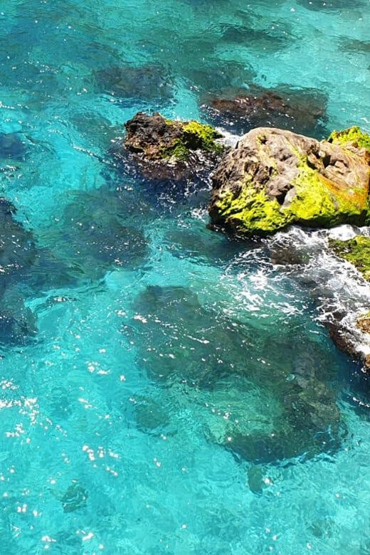 Ruta libre en paddel surf por la cascada de Nerja y Maro - Una mirada más profunda a esta experiencia en Nerja