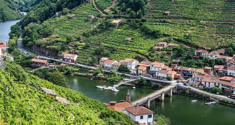 Ruta Ribeira Sacra and Sarria: Between Vineyards, History and the Way of Saint James - An In-Depth Look at the Itinerary