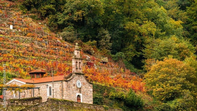 Ruta Ribeira Sacra and Sarria: Between Vineyards, History and the Way of Saint James - Who Will Love This Tour