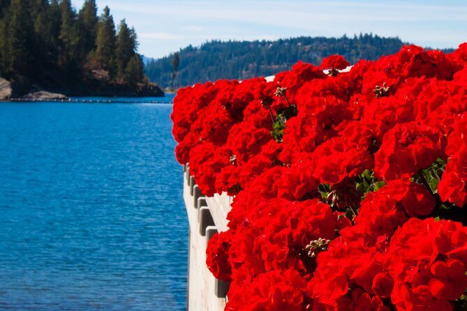 Rydables Discover Coeur dAlene Guide Tour - In The Sum Up