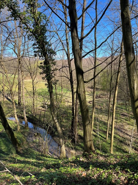 Rzeszów: Countryside trip with bonfire & sausage grilling - Key Points