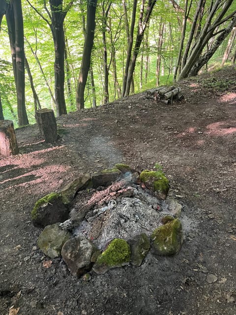 Rzeszów: Countryside trip with bonfire & sausage grilling - What You Can Expect: A Heartfelt Countryside Experience