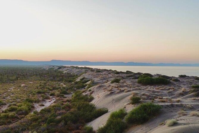 RZR Tour of Mogote Dunes and Sandboarding - Practical Details You Should Know