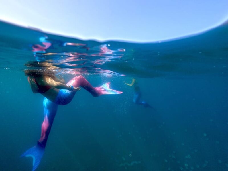 S. Miguel: Mermaid Experience in Azores - A Detailed Look at the Mermaid Experience in the Azores