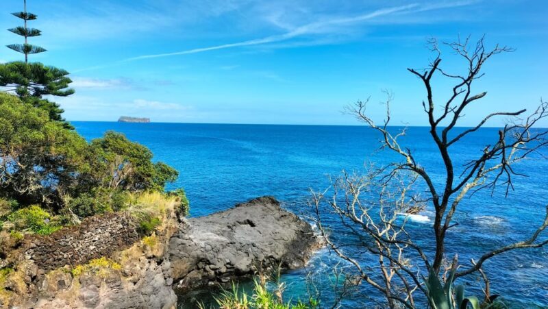 S. Miguel: Snorkeling adventure in Caloura - A Closer Look at the Experience