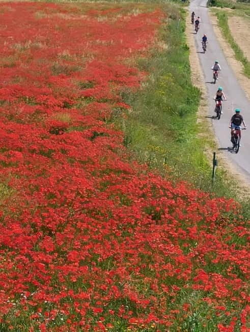 S.Miniato e-bike tour and aperitif (optional yoga at sunset) - Itinerary Breakdown: What to Expect at Each Stop  