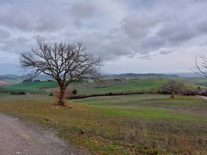 S.Miniato e-bike tour and aperitif (optional yoga at sunset) - Practical Aspects and Value  