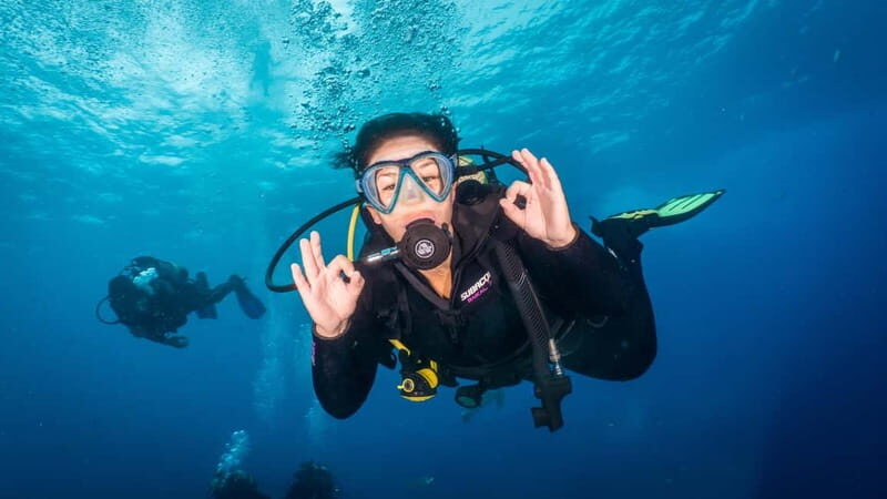 S. Tenerife: Exciting Boat Dive for Beginners to Turtle Bay - FAQ