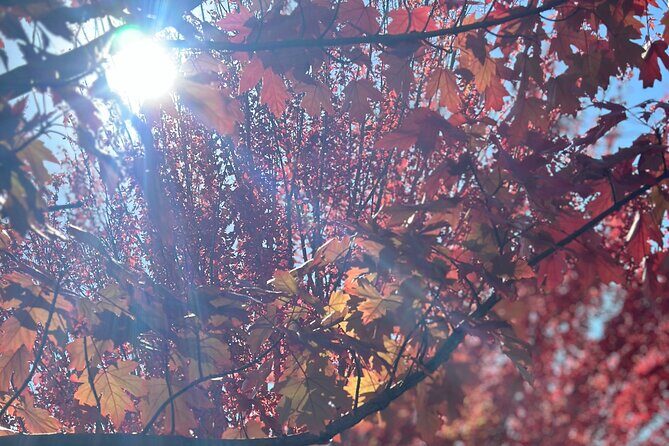 SA highlights incl Hahndorf, Victor Harbour, d'arenberg 'Cube' - What’s Included and What’s Not