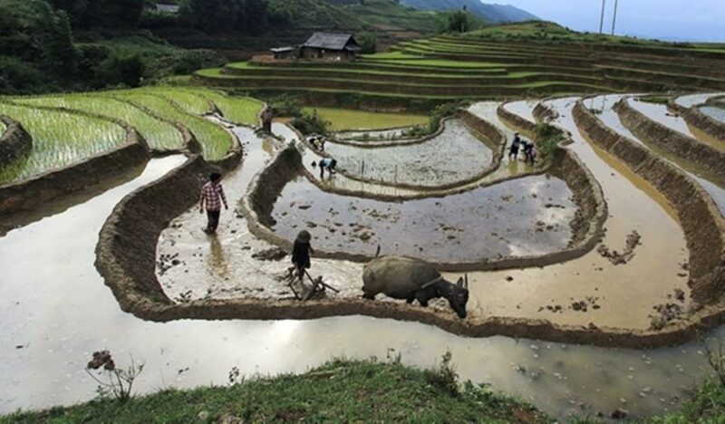Sa Pa: Muong Hoa Valley Trek and Local Ethnic Villages - Key Points