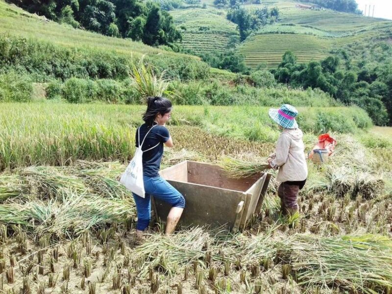 Sa Pa: Muong Hoa Valley Trek and Local Ethnic Villages - Customer Feedback