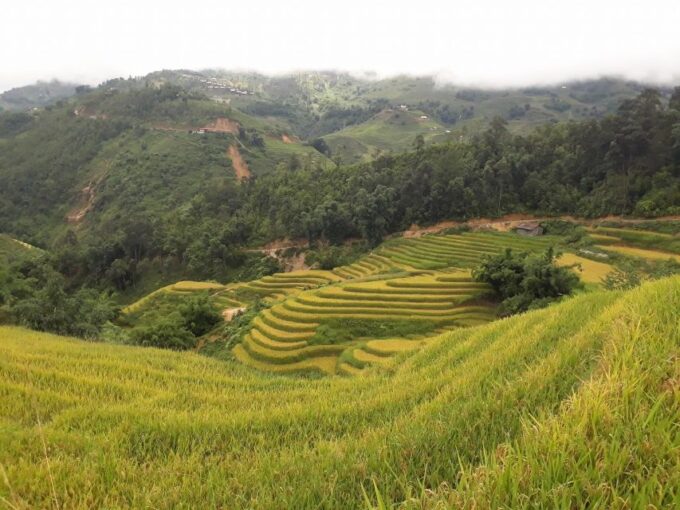 Sa Pa: Muong Hoa Valley Trek and Local Ethnic Villages - Exploring the Muong Hoa Valley