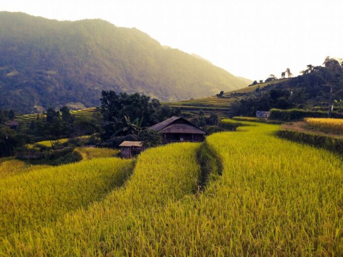 Sa Pa: Muong Hoa Valley Trek and Local Ethnic Villages - Planning Your Sa Pa Trek Experience