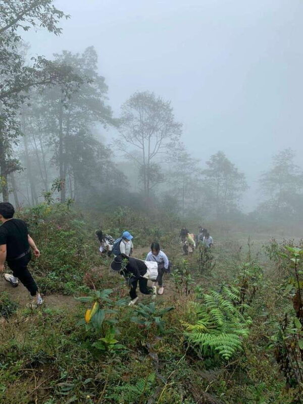 SA PA TREKKING 2D/1N THROUGH NATURE AND CULTURE WITH LALA - Participant Information