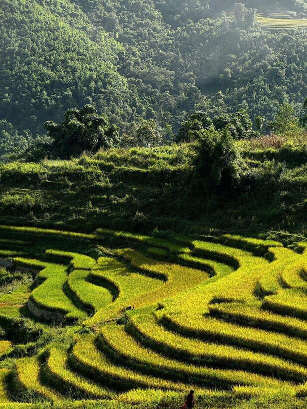 SA PA TREKKING 2D/1N WITH LALAS FAMILY - Tour Overview
