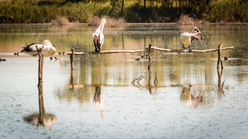 SA Riverland: 3-Day Murray River & National Parks Eco Tour - Key Points