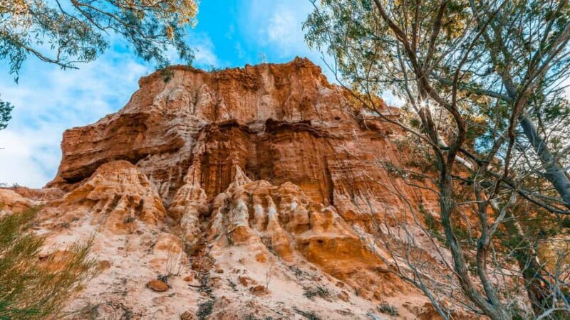 SA Riverland: 3-Day Murray River & National Parks Eco Tour - Introduction: A Balanced Look at the Murray River Eco Tour