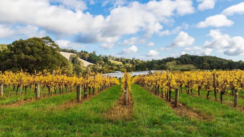 SA Riverland: 3-Day Murray River & National Parks Eco Tour - Practical Details: What You Need to Know