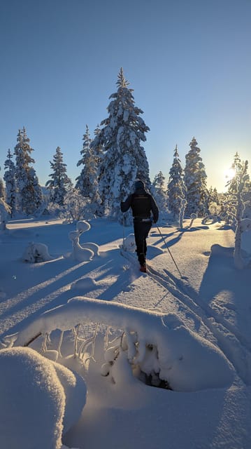 Saariselkä: Back-Country Skiing Guided Tour - Exploring the Tour in Detail