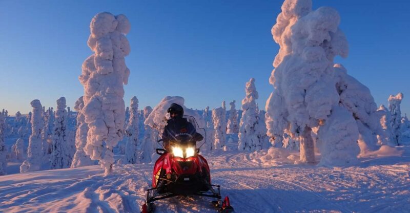 Saariselkä: Evening Snowmobile Tour with Fire & picnic - Who Will Love This Tour?