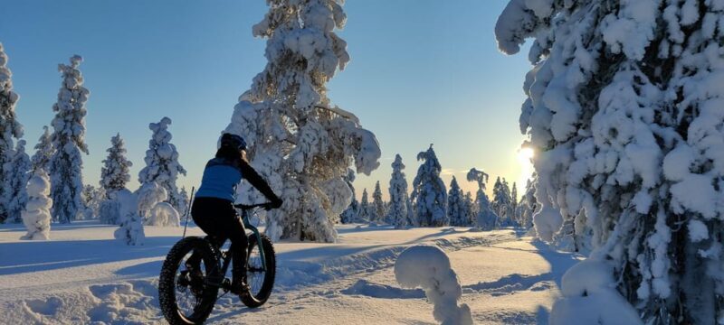 Saariselkä: Guided Fatbike Tour - Who Would Enjoy This?