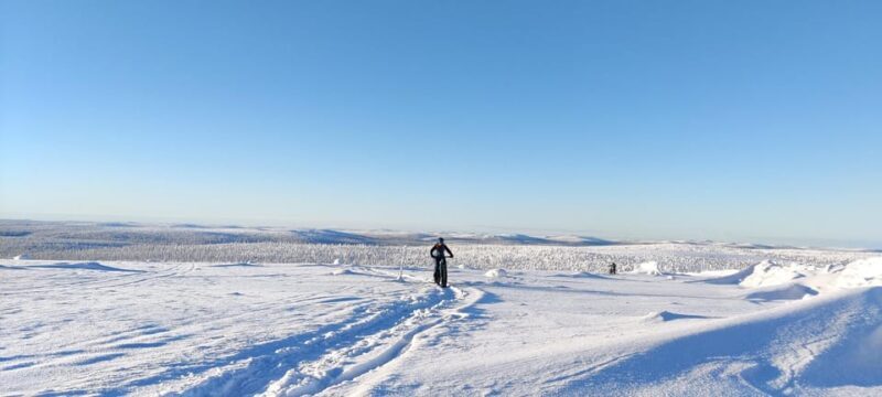 Saariselkä: Guided Fatbike Tour - Authentic Feedback from Travelers