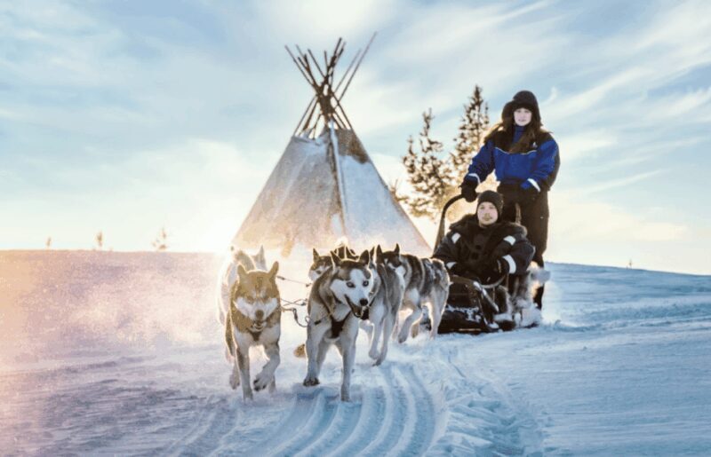 Saariselkä: Husky Safari with Aurora Borealis Hunt - Key Points