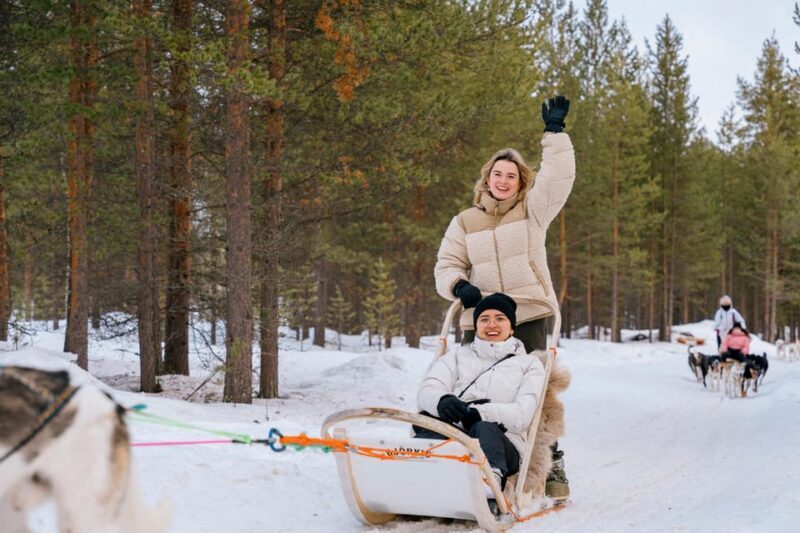 Saariselkä: Husky Safari with kennel visit - The Experience in Detail