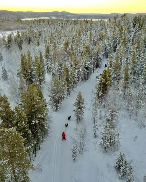 Saariselkä: Husky Safari with kennel visit - What’s Included and What’s Not