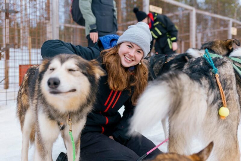 Saariselkä: Husky Safari with kennel visit - Final Thoughts